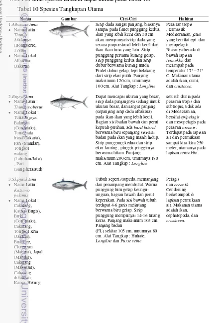Tabel 10 Spesies Tangkapan Utama  