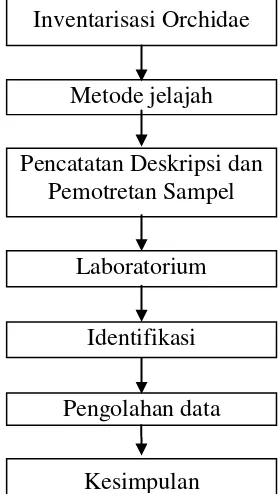 Gambar 7. Bagan Alir Penelitian 