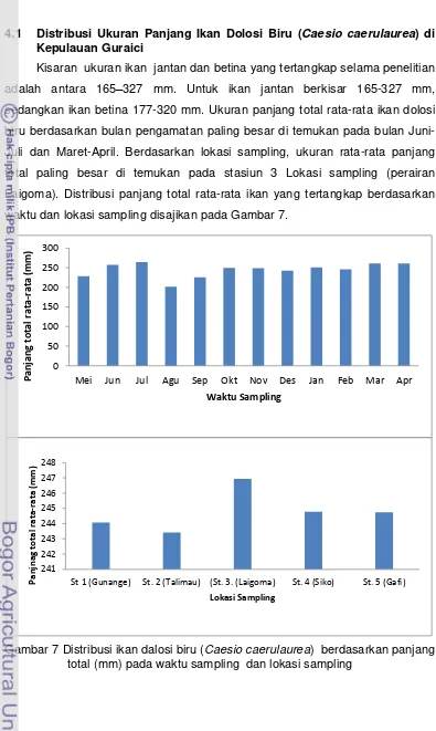 Gambar 7 Distribusi ikan dalosi biru (Caesio caerulaurea)  berdasarkan panjang 