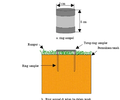 Gambar 3   Cara pengambilan sampel tanah utuh menggunakan ring sampel tanah