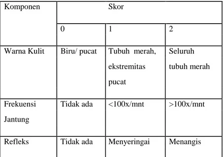 Tabel penilaian Apgar Score 