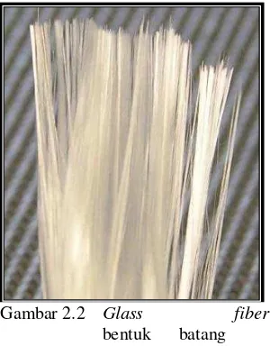 Gambar 2.2  Glass           fiber 