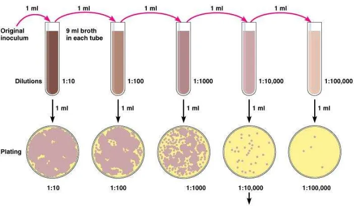 Gambar 3. Pertumbuhan Mikroorganisme pada Masing-Masing sampel 