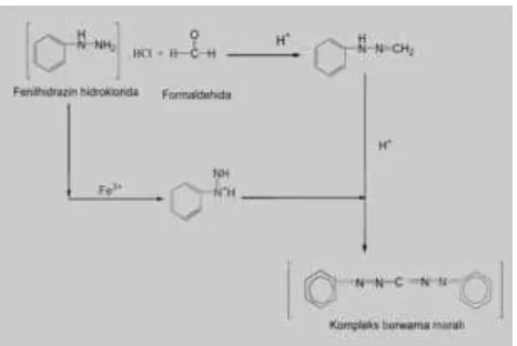 Gambar 2. Mekanisme reaksi antara formaldehid 