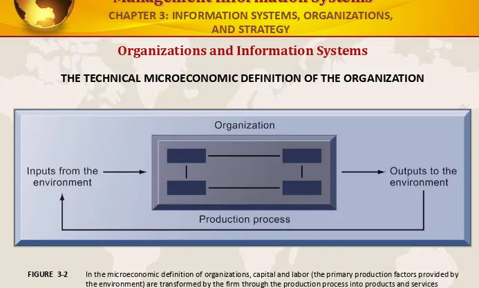 FIGURE  3-2In the microeconomic definition of organizations, capital and labor (the primary production factors provided by 
