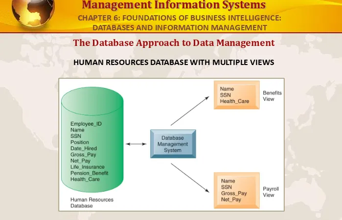 FIGURE 6-3A single human resources database provides many different views of data, depending on the information 
