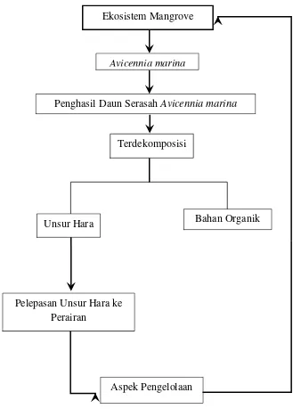 Gambar 1. Kerangka Pemikiran Penelitian 