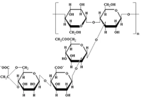 Gambar 2.2 Struktur Hemiselulosa 