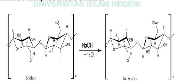 Gambar 4.2 Reaksi Alkalisasi Selulosa 