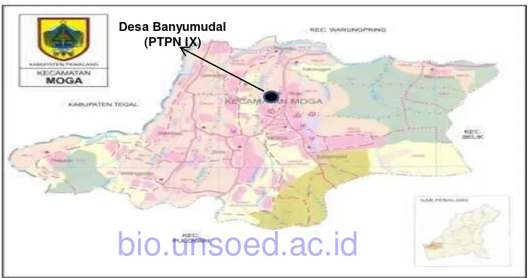 Gambar 11.1. Peta Lokasi Kabupaten Pemalang Jawa Tengah (Badan Pusat Statistik, 2013) 