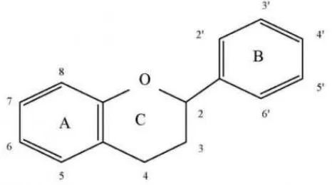 Gambar 2.1. struktur dan penomoran Flavonoid 