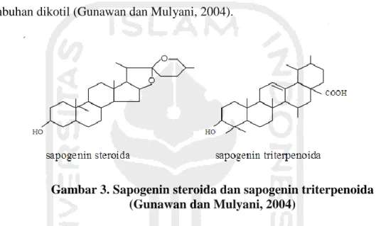 Gambar 3. Sapogenin steroida dan sapogenin triterpenoida  (Gunawan dan Mulyani, 2004) 