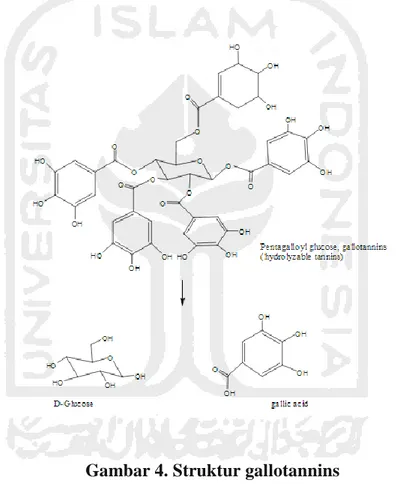 Gambar 4. Struktur gallotannins  (Hagerman, 2002) 