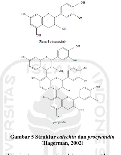 Gambar 5 Struktur catechin dan procyanidin  (Hagerman, 2002) 