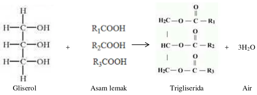 Tabel 2.1 : Komposisi asam lemak minyak sawit 