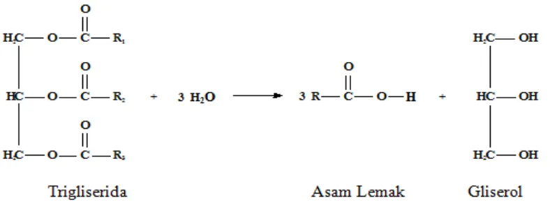 Gambar 4.1 Reaksi hidrolisis trigliserida 