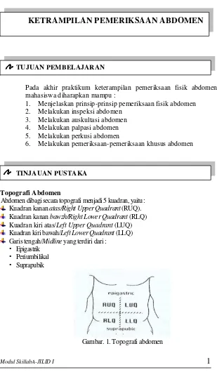 Gambar. 1. Topografi abdomen 