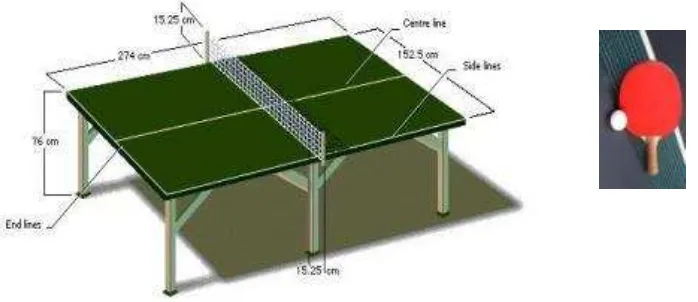 Gambar 1. Lapangan, Net dan Bet Tenis Meja (Sutarmin, 2007: 5) 