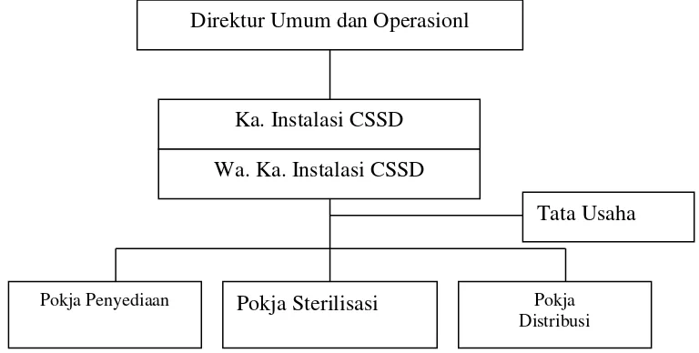 Gambar. 3.2. Struktur Organisasi Instalasi                        Central Sterilized Supply Department  (CSSD) RSUP H