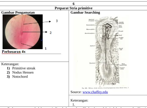 Gambar Pengamatan