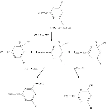 Gambar 10. Struktur Procion Red MX 8B (Isminingsih, 1982) 