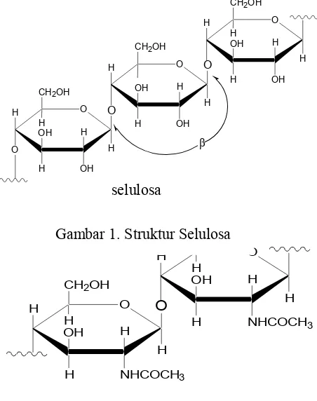 Gambar 1. Struktur SelulosaCH2OH 