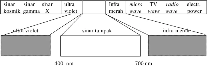 Gambar 12.1  Spektrum cahaya 