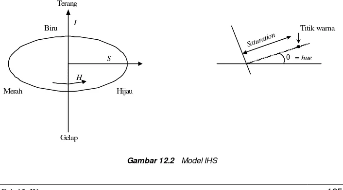 Gambar 12.2   Model IHS 