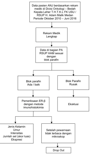 Gambar 3.7. Kerangka kerja  