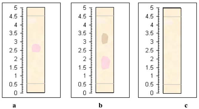 Gambar 3. Hasil identifikasi zat warna kulit manggis dengan kromatografi kertas, menggunakan larutan pengembang BAA (a), BuHCl (b), dan HCl 1% (c), dengan Nilai Rf (x 100) masing-masing noda 1 (a) 54, noda 1 (b) 32, noda 2 (b) 68, noda 1 (c) 14, dan noda 2