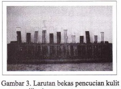 Gambar 3. Larutan bekas pencucian kulityang diberi wama zat wama asam