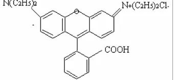 Gambar 1.  Struktur molekul Rhodamine-B 