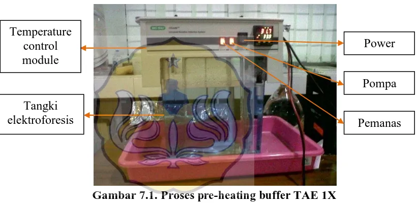 Gambar 7.1. Proses  pre-heating buffer TAE 1X 