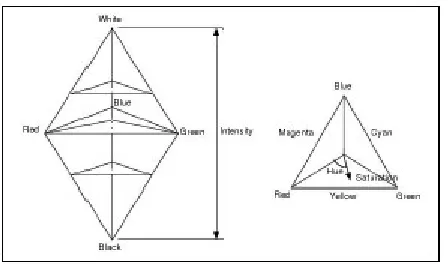 Gambar 7: Model warna HSI