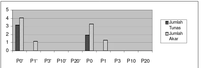 Gambar 1a.  Pengaruh perlakuan picloram terhadap pola pertumbuhan kultur jahe  gajah (% eksplan bertunas, % eksplan berakar, % eksplan berkalus) 