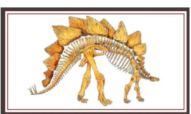 Gambar 6. Ilustrasi poster anatomi stegosaurus (Sumber : Febby Risyanti W, 2021)
