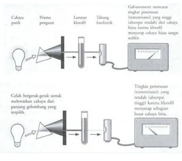 Gambar 1. Cara Kerja Speltrofotometer