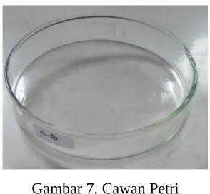 Gambar 7. Cawan Petri
