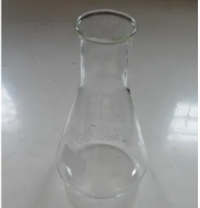 Gambar 9. Beaker Glass(Sumber : Dokumentasi Pribadi)