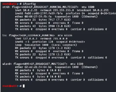 gambar 3. 1output command “Ifconfig” 