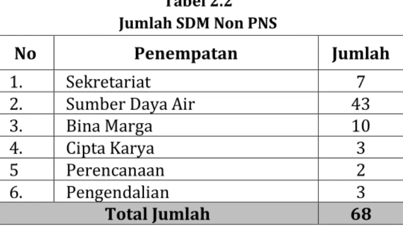 Tabel 2.2  Jumlah SDM Non PNS 