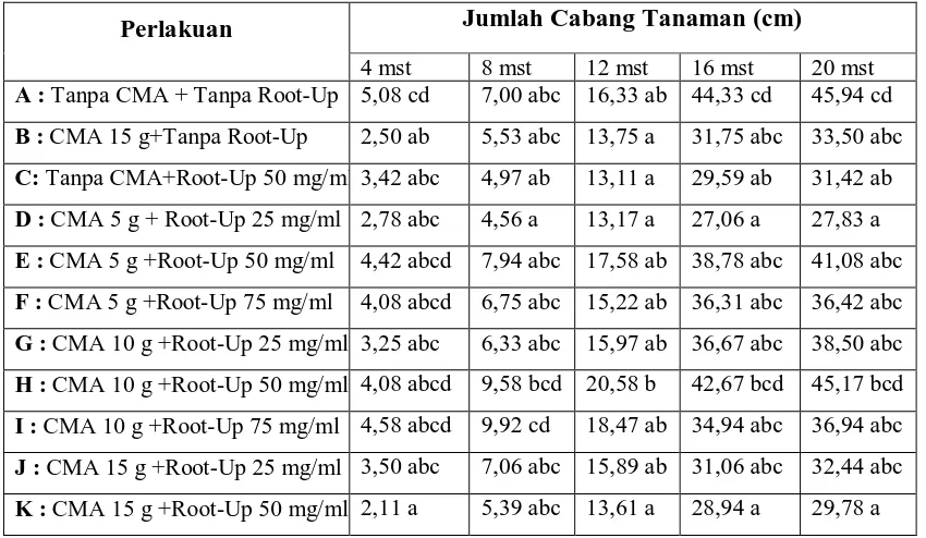 Tabel 6. Pengaruh Dosis Cendawan Mikoriza Arbuskula dan Zat Pengatur Tumbuh Akar terhadap Jumlah Cabang Nilam Di Pertanaman 
