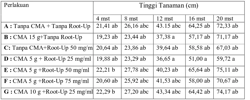 Tabel 7. Pengaruh Dosis Cendawan Mikoriza Arbuskula dan Zat Pengatur Tumbuh Akar terhadap Tinggi Tanaman Nilam Di Pertanaman 