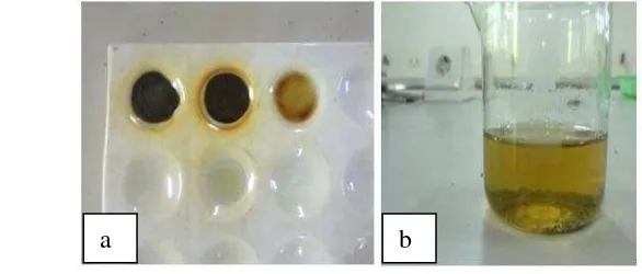 Gambar 4 Uji Alkaloid (a), Uji Saponin (b) 