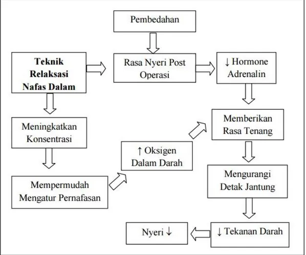 Gambar 2.3 Patofisiologi teknik relaksasi nafas dalam terhadap                penurunan nyeri (Prasetyo, 2010) 