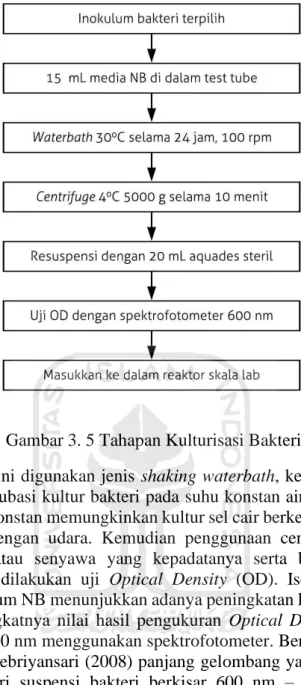 Tabel 3. 1 Hasil Pengukuran Optical Density (OD) 