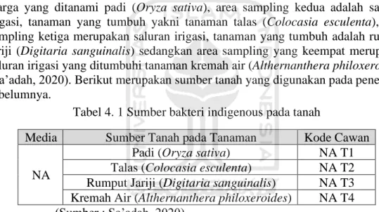 Tabel 4. 1 Sumber bakteri indigenous pada tanah  
