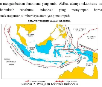 Gambar 2. Peta jalur tektonik Indonesia 