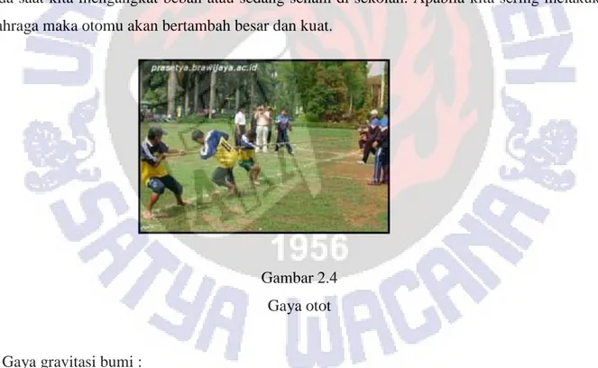 Gambar 2.4   Gaya otot 