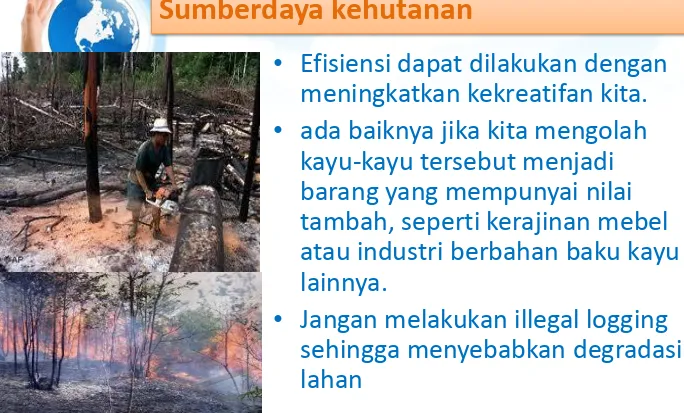 Gambar 7. Penebangan hutan dan pembakaran hutanSumber : dari http://iberitabaru.blogspot.com/2013/04/penebangan-hutan-secara-liar.html